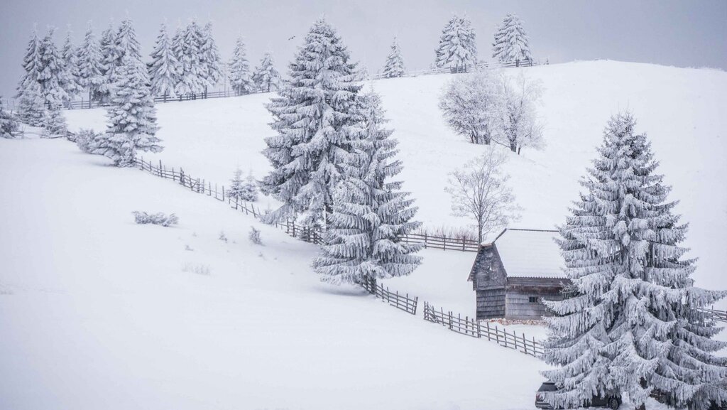 cropped-Wooden-house-in-Bran-area.jpg