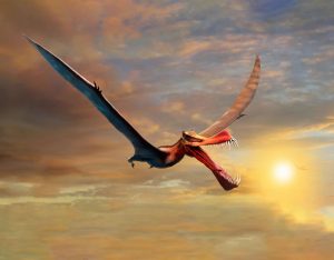 Thapunngaka shawi, un nuovo pterosauro