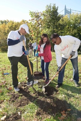 Kyndryl employees plant trees