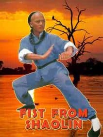 Fist from Shaolin