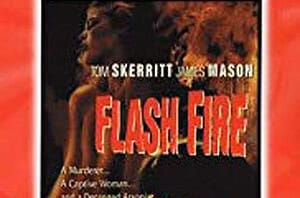 A Dangerous Summer (Flash Fire)