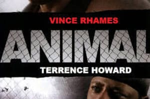 Animal