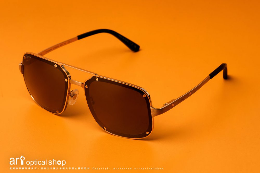 Cartier-CT0476S-TITANIUM-CT0194S-007