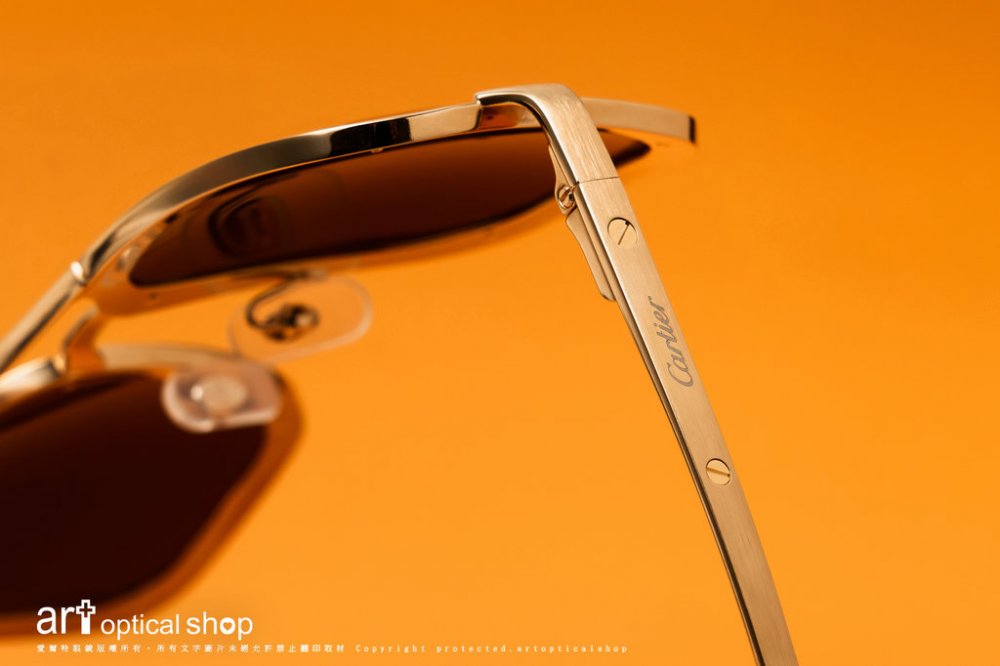 Cartier-CT0476S-TITANIUM-CT0194S-060