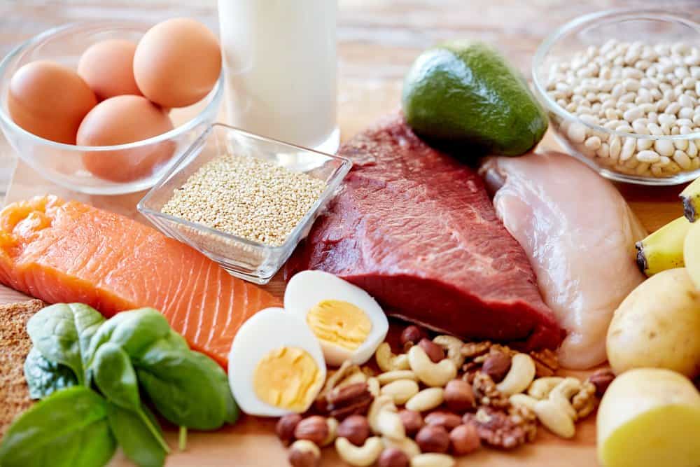 high protein diets