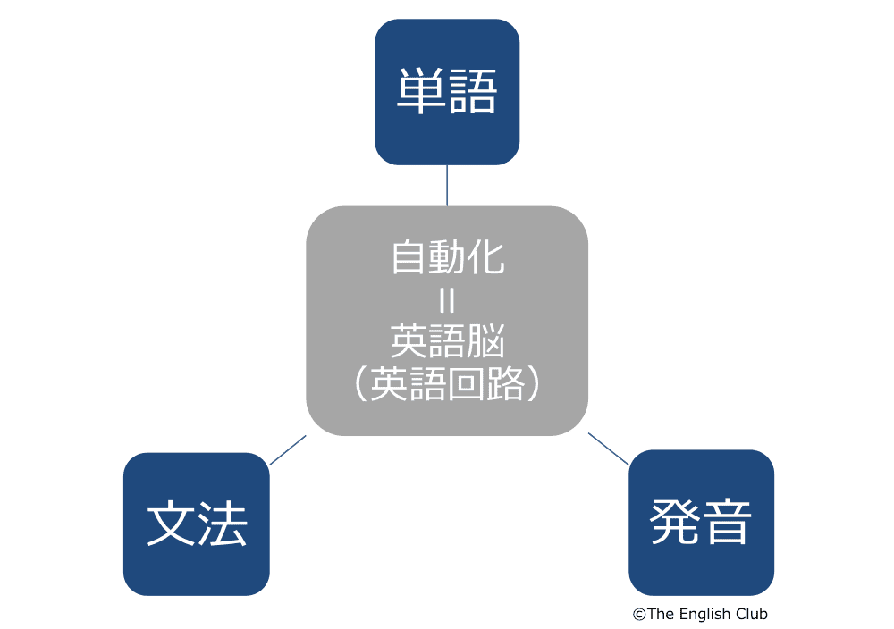 単語と文法と発音の自動化