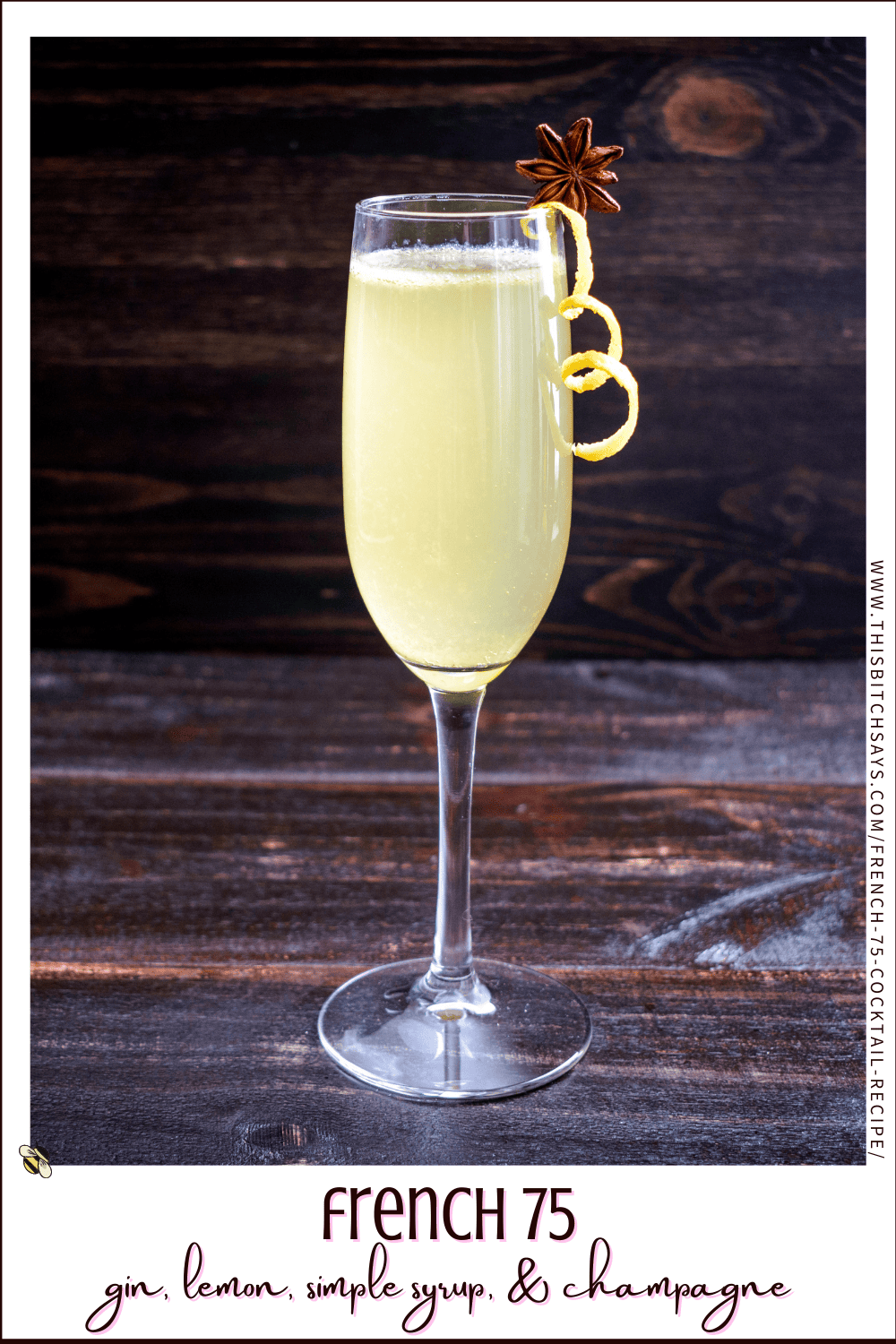 French 75 Cocktail Recipe {gin | 244 cal} - This Bitch Says