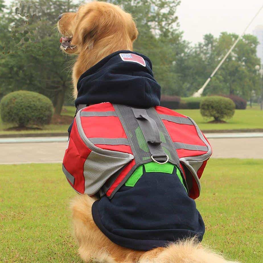 best dog backpacks