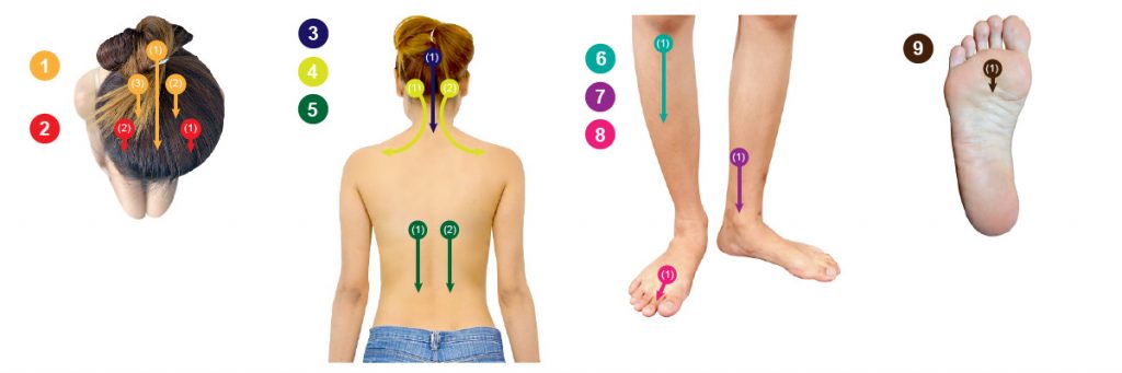 ขูดกัวซา(Guasa) เพื่อรักษาอาการวิงเวียนศีรษะ