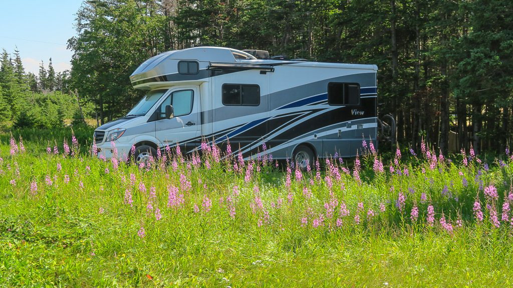 Our amazing RV Camping Spot surrounded by wildflowers at Shallow Bay Campground