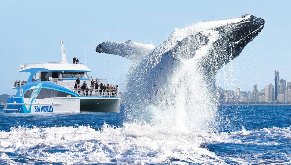 Sea World Cruises Gold Coast