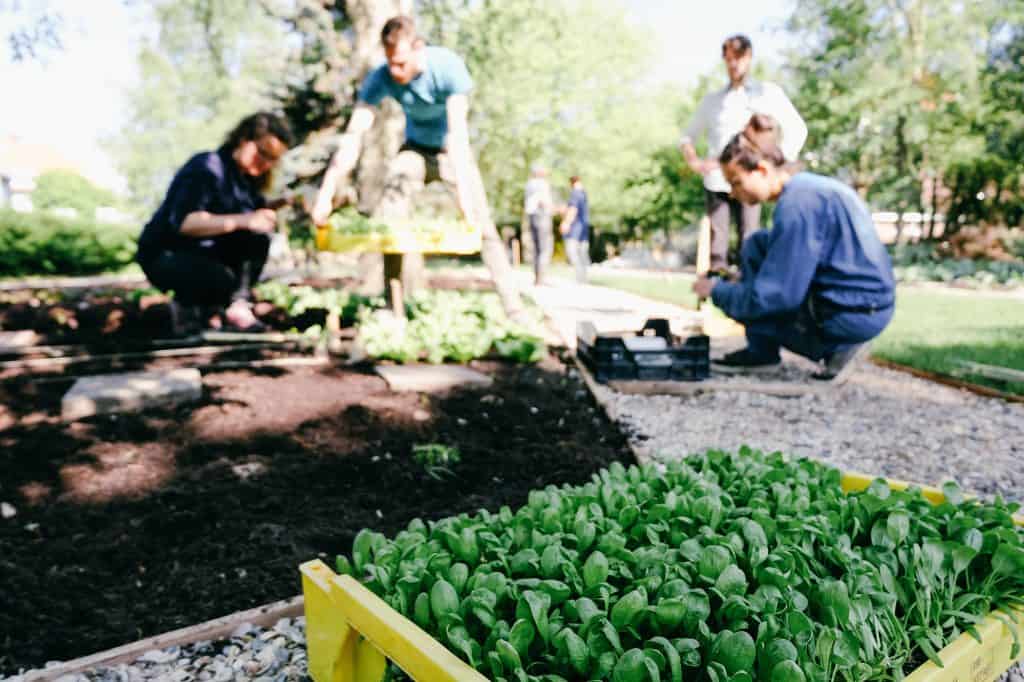 Mensen die planten aan het planten zijn