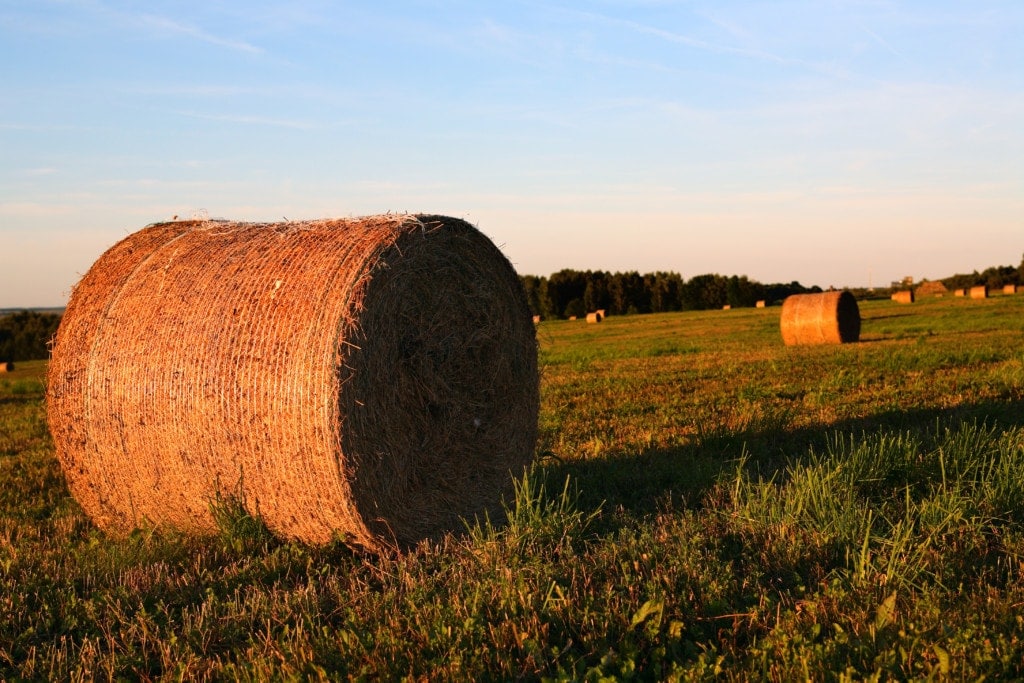 Agricultural Bankruptcy Agricultural Bankruptcy Attorney