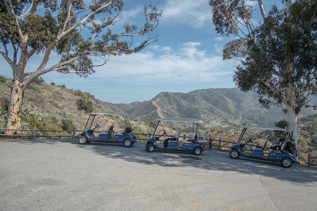 3 Golf Carts parked near each other on the hillside in Avalon