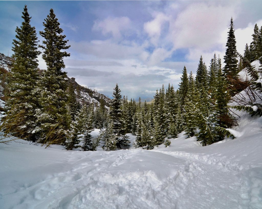 Landscape of snow covered road