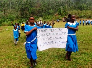 Cameroon: Environmental Education leaves classrooms