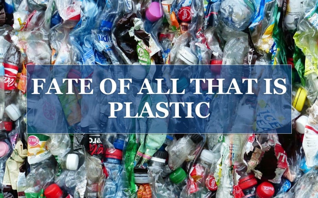 Fate of All That is Plastic