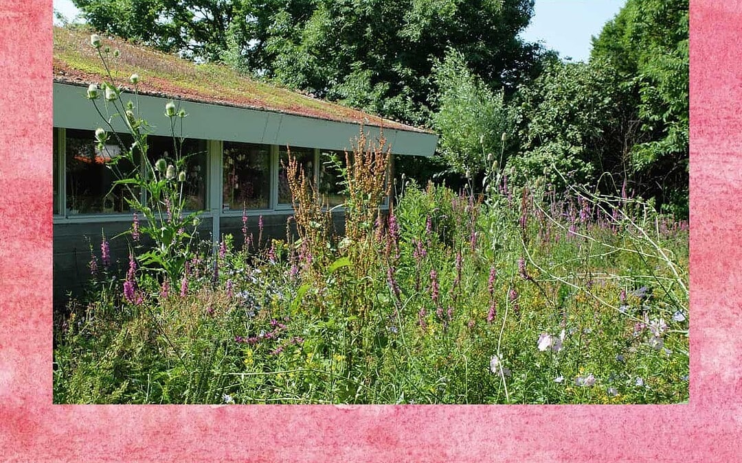 Karakteristieken van Mens en Tuin #5