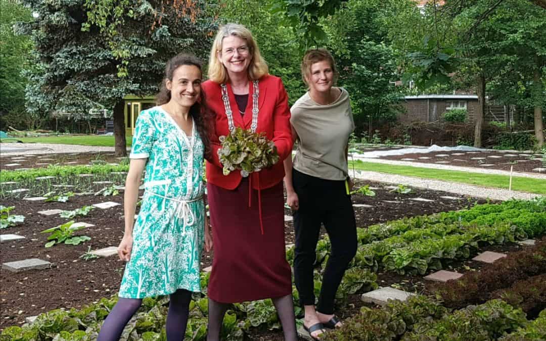 Greens in Westbroekpark is geopend!