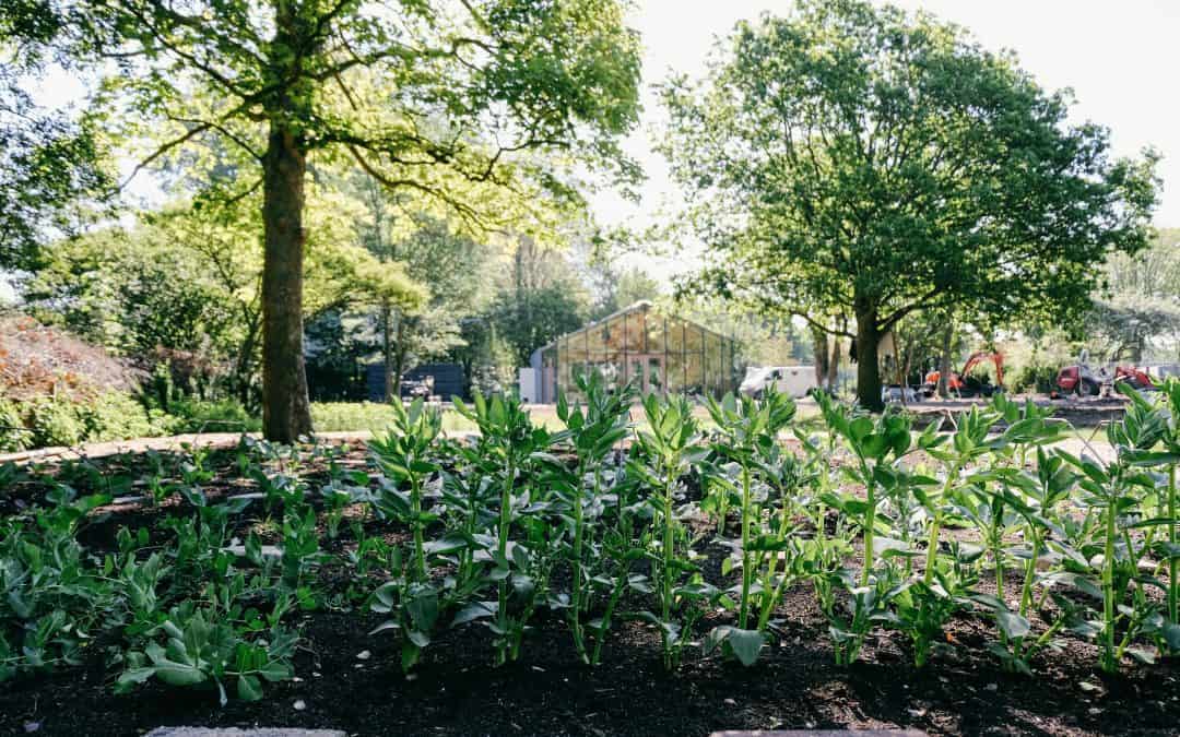 Crowdfunding Mens en Tuin in het Park