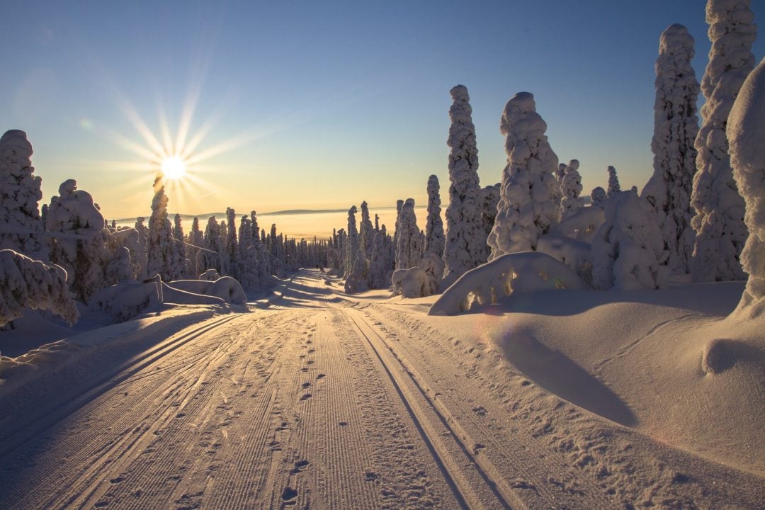 Finnland - Schnee - Sonne - Ski fahren