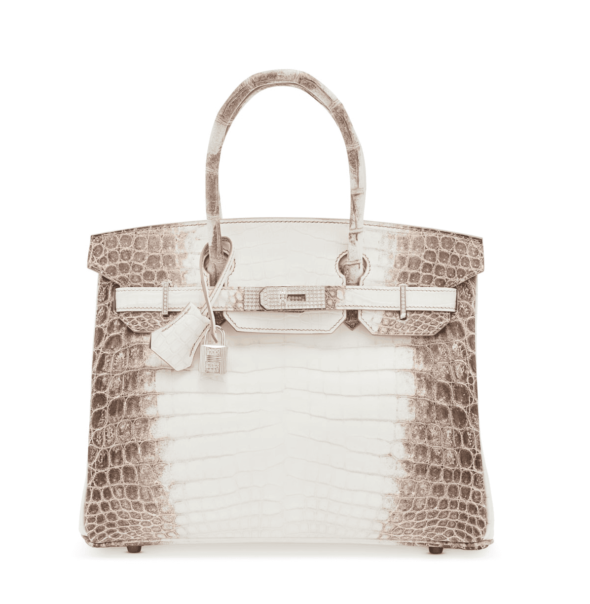 Hermés Himalaya Birkin