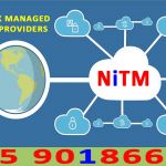 NETWORK MANAGED SERVICE PROVIDERS
