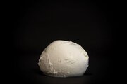 Ricette con mozzarella di bufala e informazioni sui prodotti di bufala
