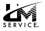 LM Service logo
