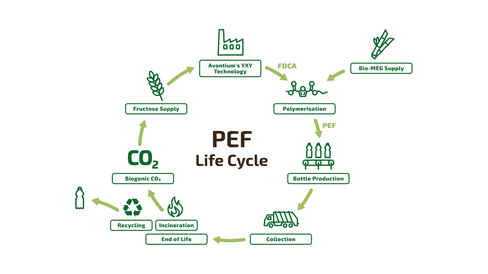 PEF LCA