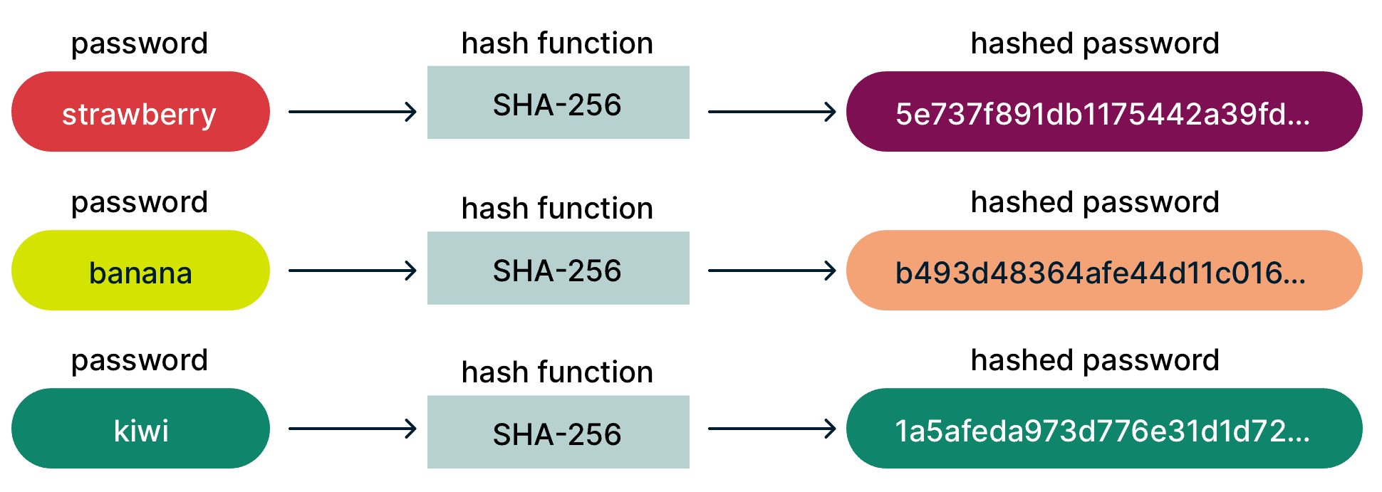 Different passwords hashed to form seemingly random strings of characters.