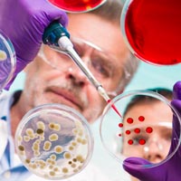 shutterstock_140012665_scientist_petri_dishes_200px