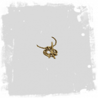 The Effigon Gold Amulet
