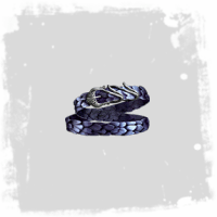 Wurm's Molt Leather Belt