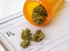 Medical Marijuana Cultivation Site Happening in Washington County