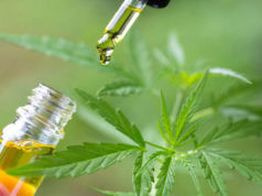 Consume CBD
