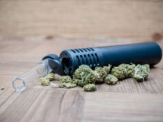 Dry Herb Vaporizer