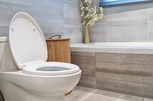 Wc-und-Urinal-tipp-zum-bau Klo,WC, Schüssel, Bad