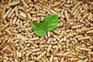 Pelletheizung-Fazit-tipp-zum-bau Infos über die Pelletheizung gibt's bei Tipp zum Bau.