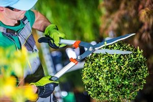 Gärtner-Funktionen-Tipp-zum-Bau gärtnern, Beruf, gepflegt, schneiden