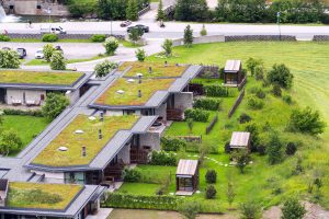 Gründach-Dachabdichtung-Tipp-zum-Bau Tipp zum Bau verrät Ihnen, welche Dachabdichtung sich am besten für einen Dachgarten eignet.