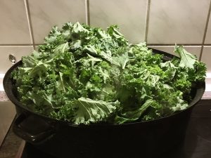 Grünkohl im Bräter