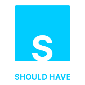moscow prioritization model should have