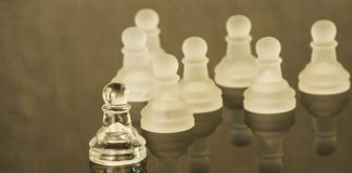 transparenta blog Doru Dima