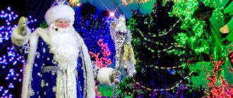 Новогодние вопросы – Манки