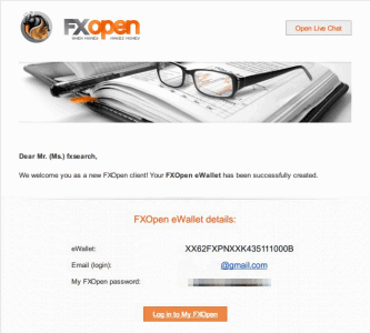 FXOpen登録4