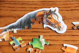 Photo of a puzzle that is partially completed.