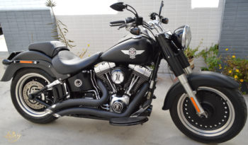 HARLEY DAVIVIDSON SOFTAIL FAT BOY SPECIAL COSTUMIZADA