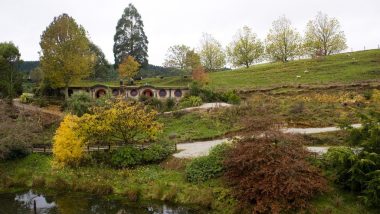 Hobbit Hotel