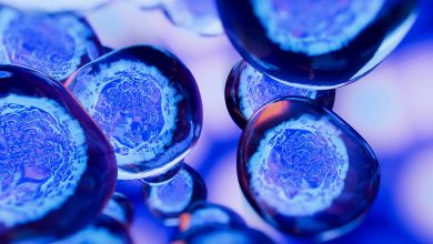 Photo of Engineered T Cells Show Promise as Effective Preventative for Diabetes